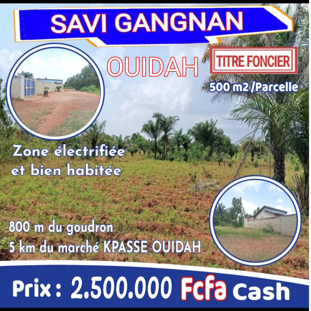 SAVI GANGNAN PARCELLES AVEC TITRE FONCIER